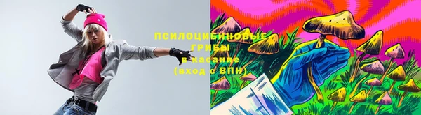 PSILOCYBIN Нягань